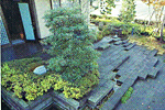 造園・植栽工事