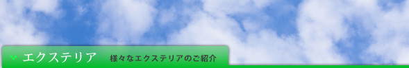 エクステリア
